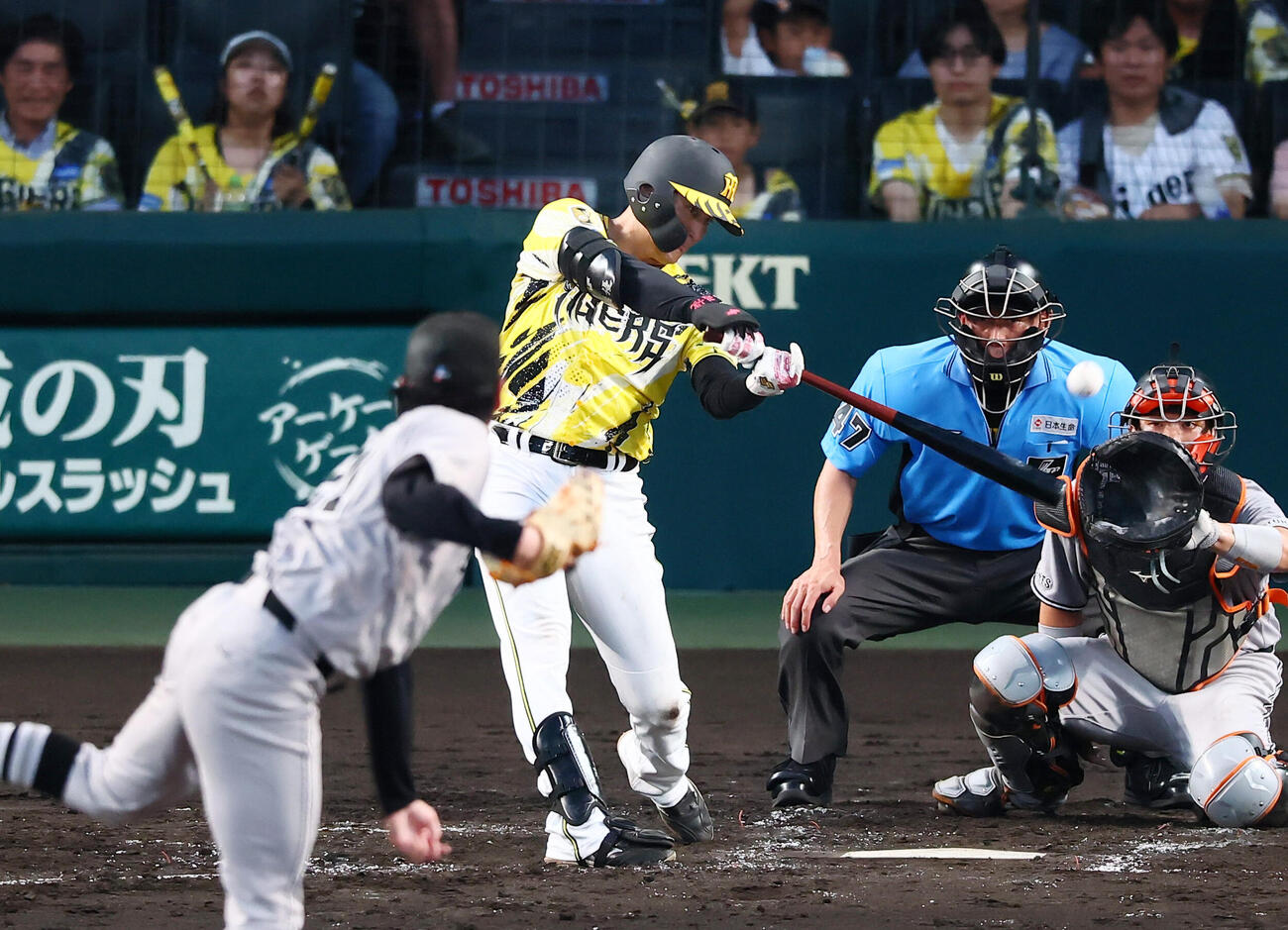 阪神対巨人　3回裏阪神1死満塁、元山飛優は左犠飛を打ち上げて先制する。投手竹丸和幸（撮影・加藤哉）