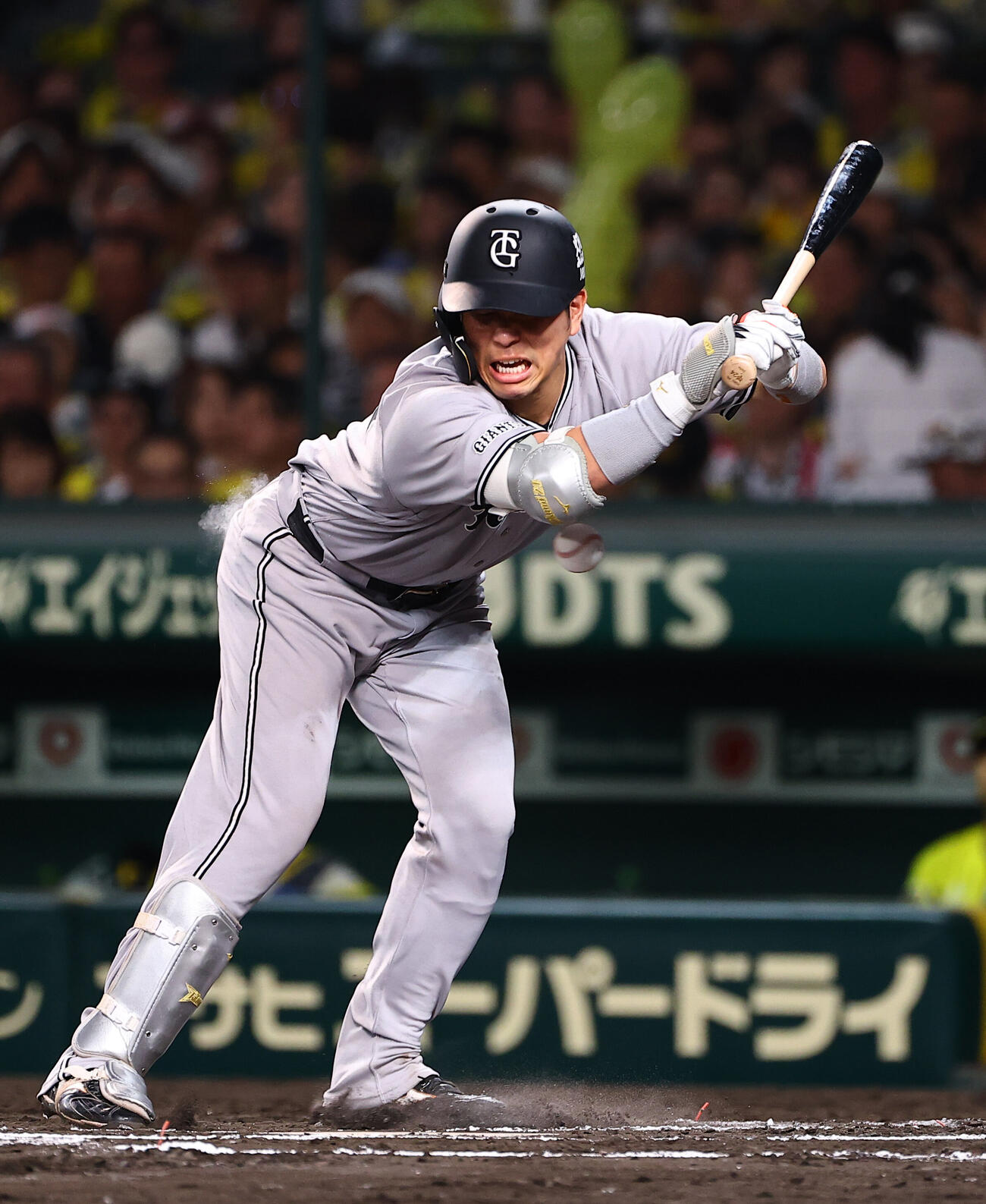 阪神対巨人　7回表巨人2死三塁、大城卓三は死球を受ける（撮影・上田博志）