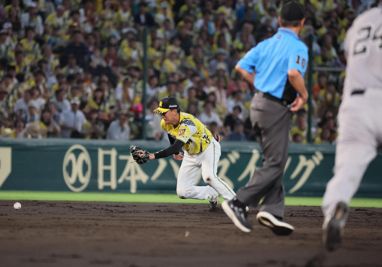 阪神対巨人　4回表巨人無死一塁、元山飛優は小浜佑斗の遊ゴロをはじく（撮影・宮崎幸一）