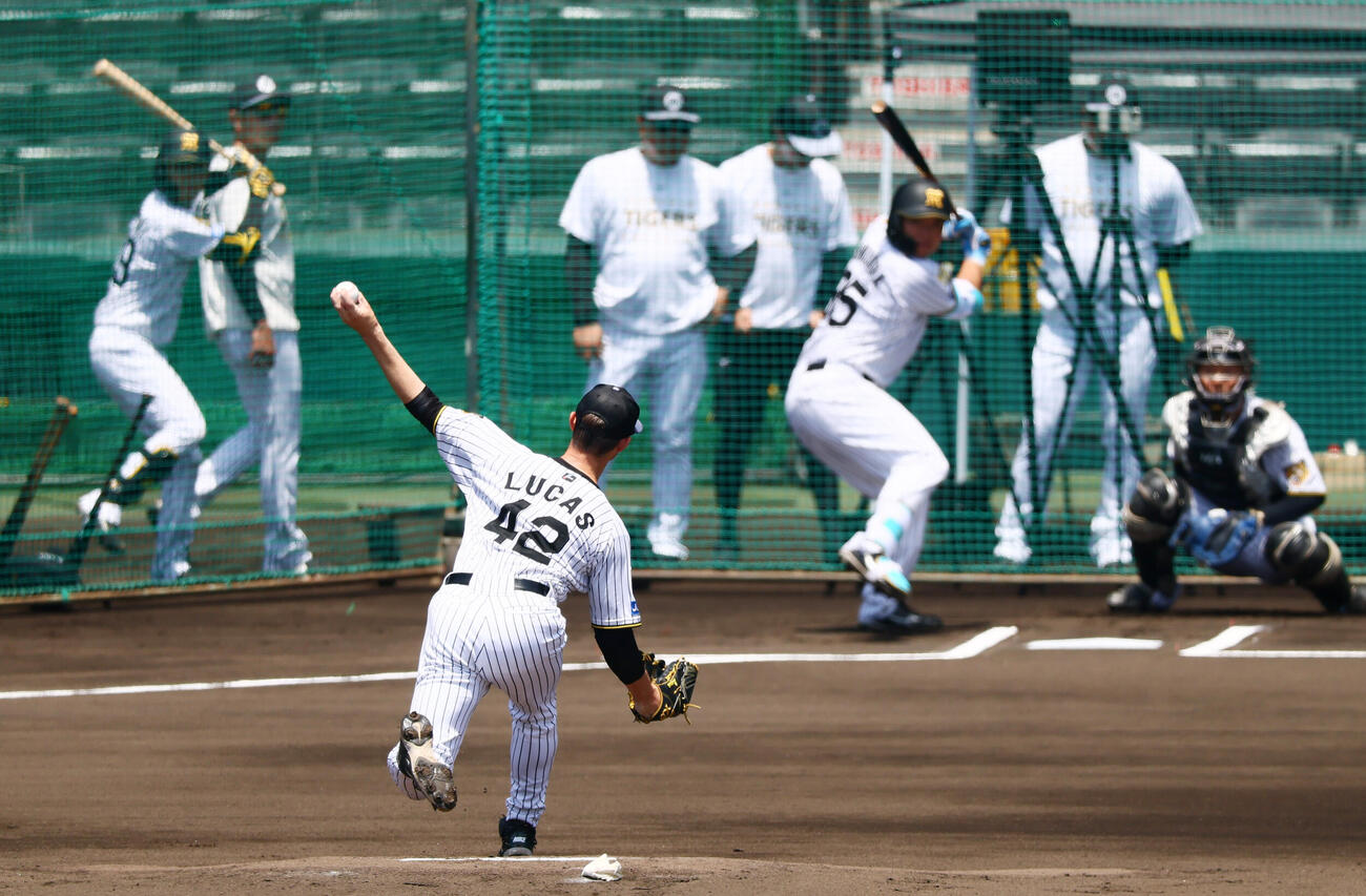 ライブBPに登板する阪神イーストン・ルーカス（撮影・加藤哉）