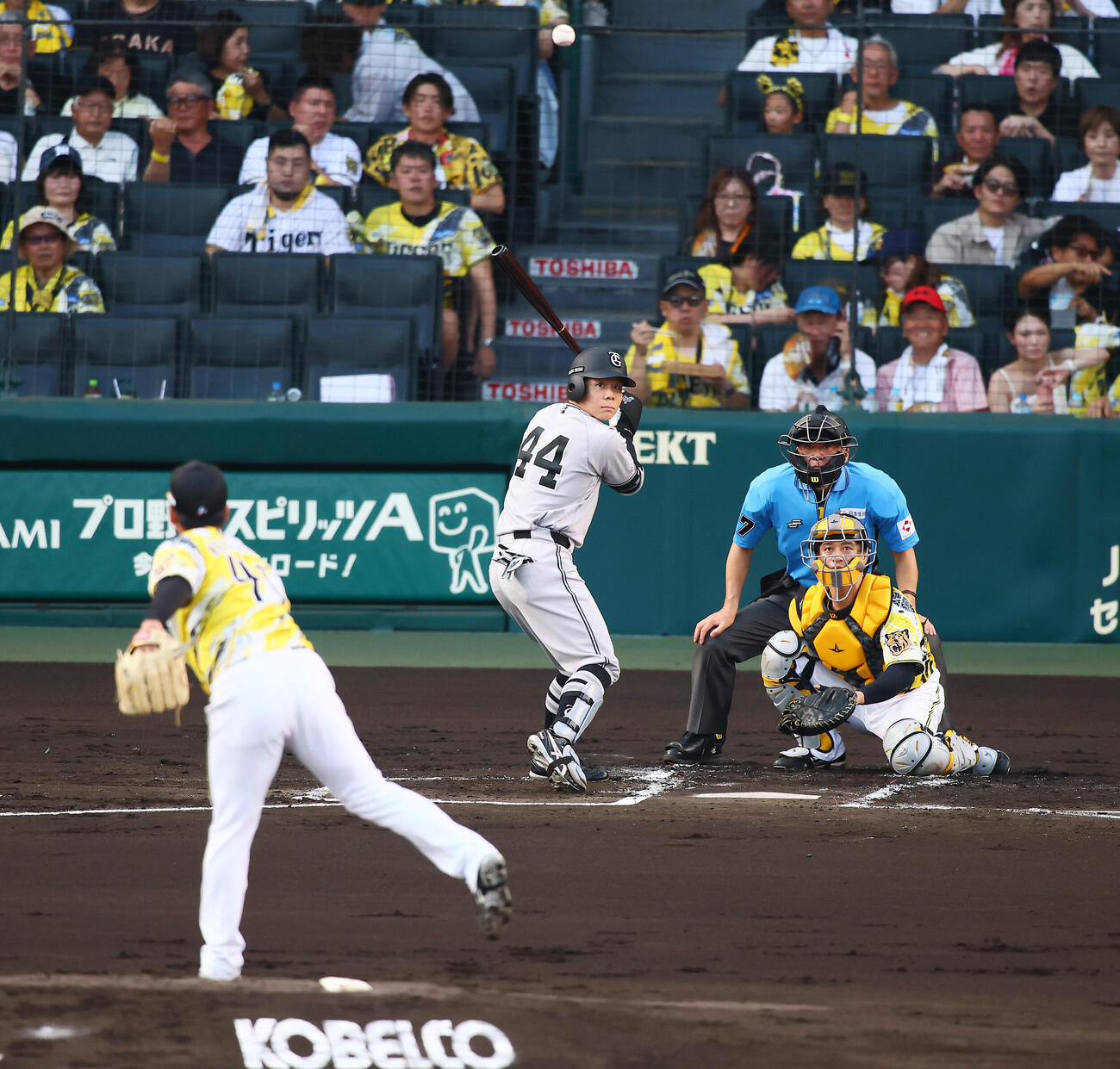 阪神対巨人　2回表巨人1死、村上頌樹の遅球でストライクを取られる打者佐々木俊輔（撮影・加藤哉）