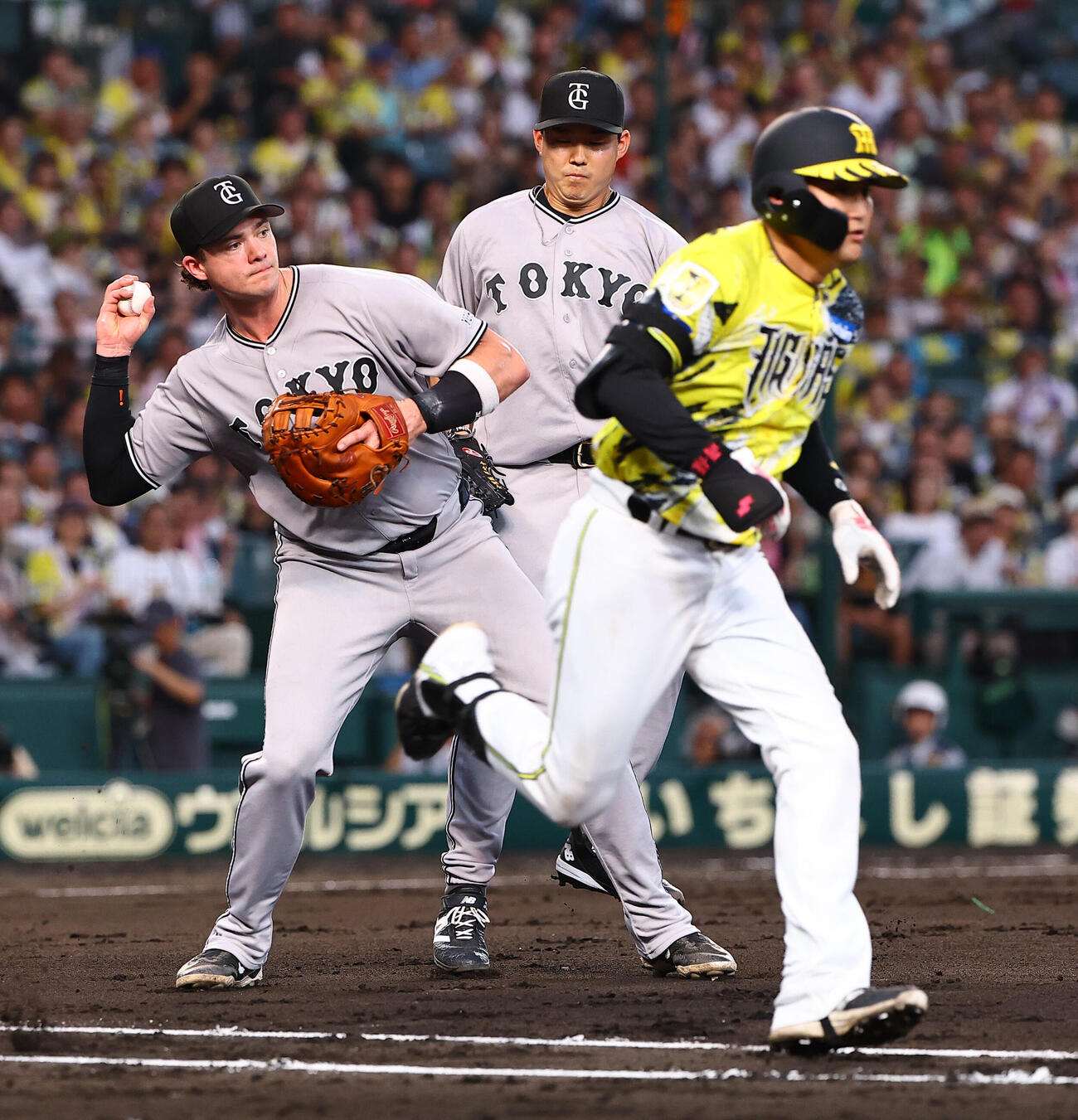 阪神対巨人　4回裏阪神無死一塁、元山飛優（右）のバントを処理するボビー・ダルベック（撮影・上田博志）