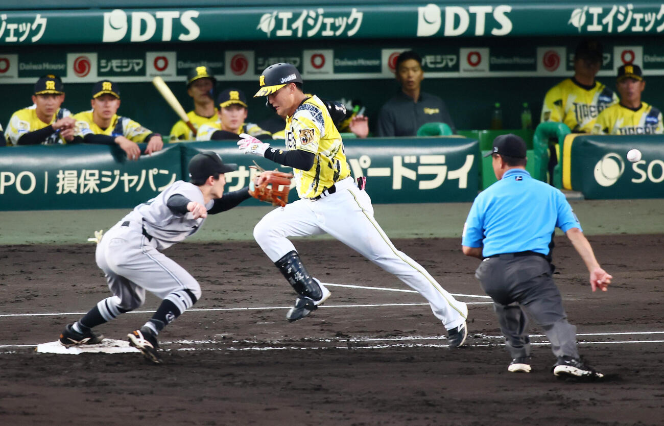 阪神対巨人　4回裏阪神無死一塁、元山飛優は一塁線にバントするがアウトになる。野手浦田俊輔（撮影・加藤哉）