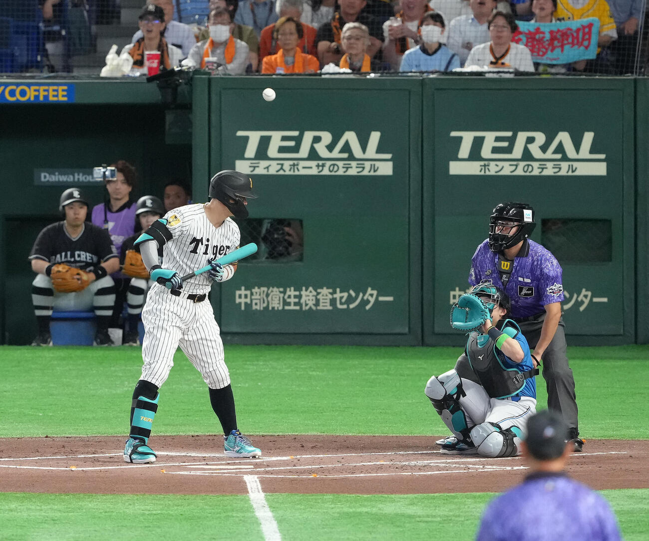 マイナビオールスターゲーム2026　第1戦　1回表全セ1死、佐藤輝明は伊藤大海の球速50キロのスローボールを見送る（撮影・足立雅史）
