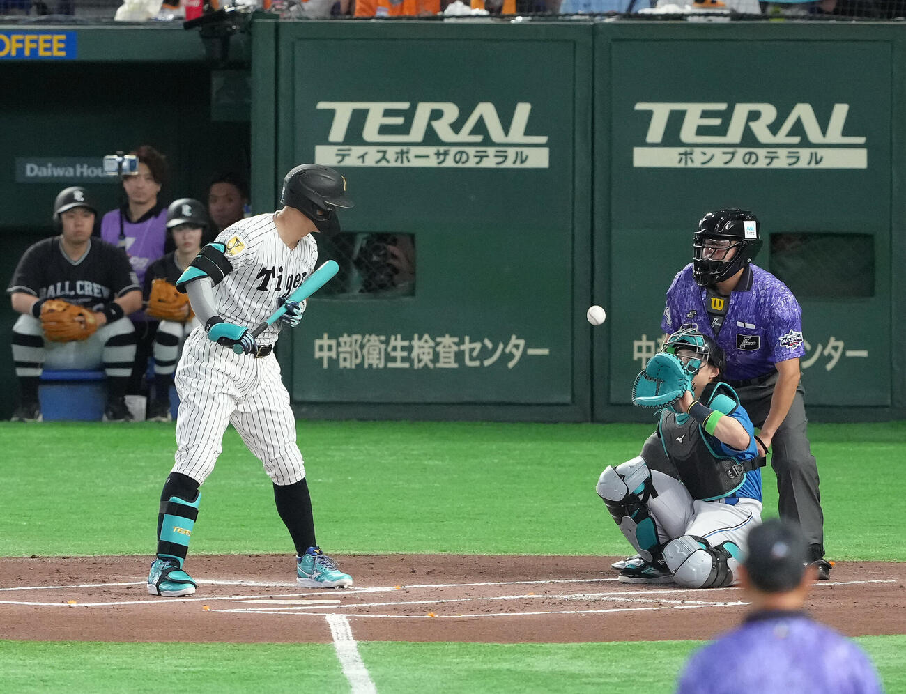 マイナビオールスターゲーム2026　第1戦　1回表全セ1死、佐藤輝明は伊藤大海の球速50キロのスローボールを見送る（撮影・足立雅史）