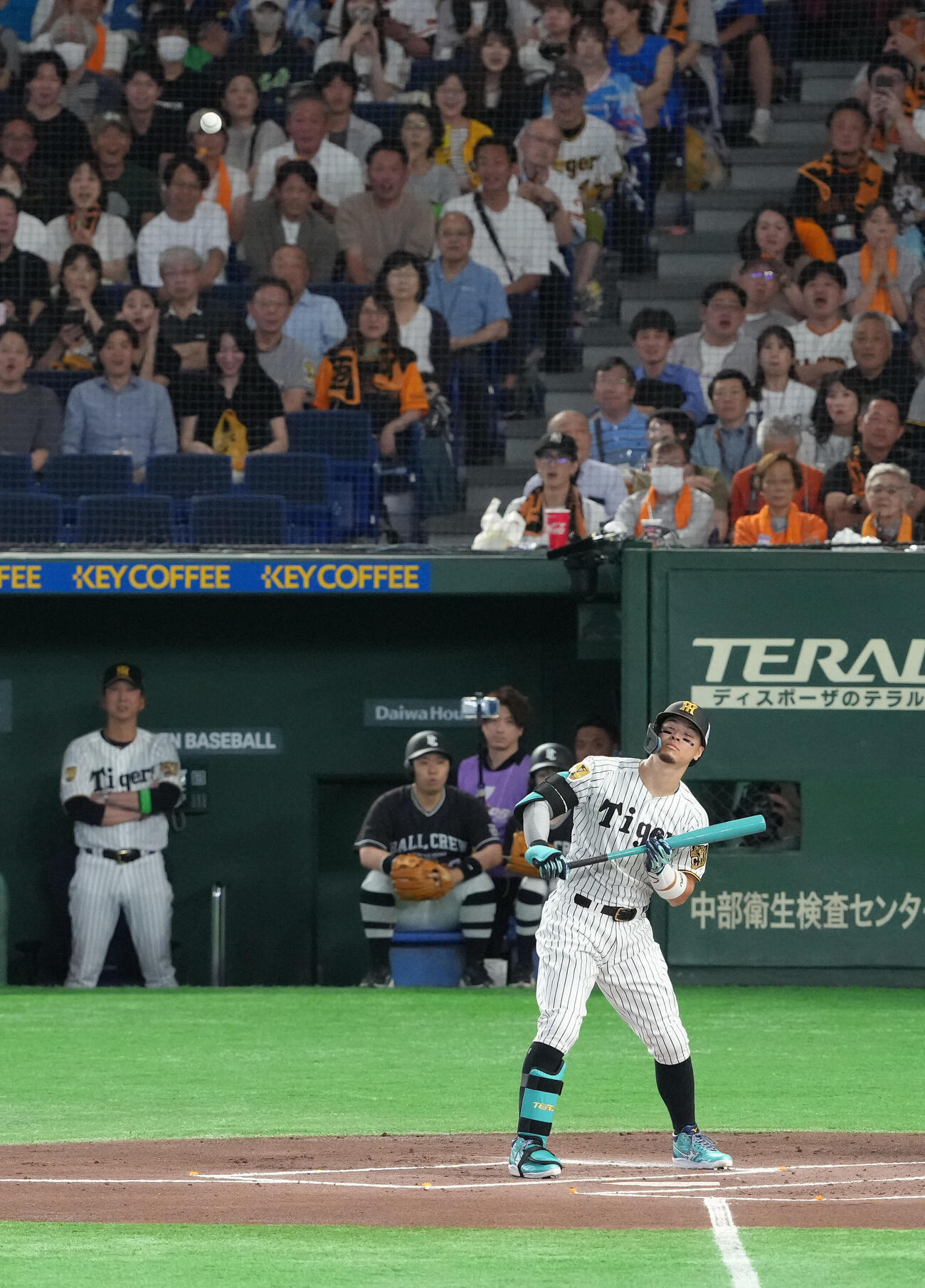 マイナビオールスターゲーム2026　第1戦　1回表全セ1死、佐藤輝明は伊藤大海の球速50キロのスローボールを見送る（撮影・足立雅史）