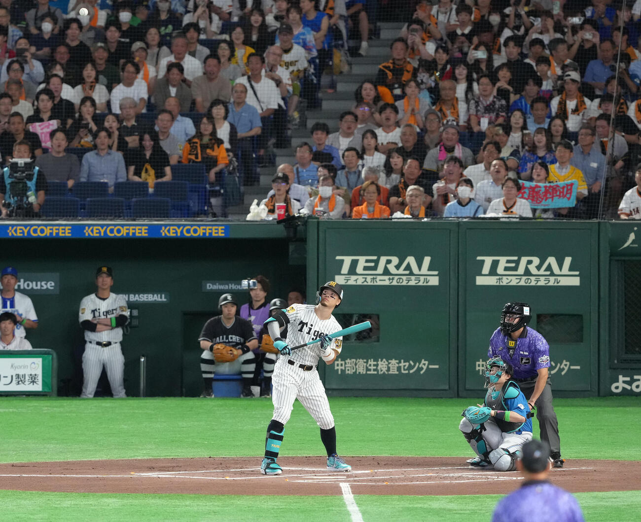 マイナビオールスターゲーム2026　第1戦　1回表全セ1死、佐藤輝明は伊藤大海の球速50キロのスローボールを見送る（撮影・足立雅史）