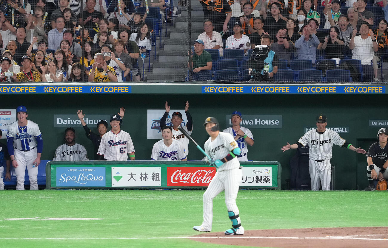 全セ対全パ　8回裏全セ1死二塁、大山悠輔（手前）の2点本塁打に笑顔を見せる藤川球児監督（右端）（撮影・足立雅史）