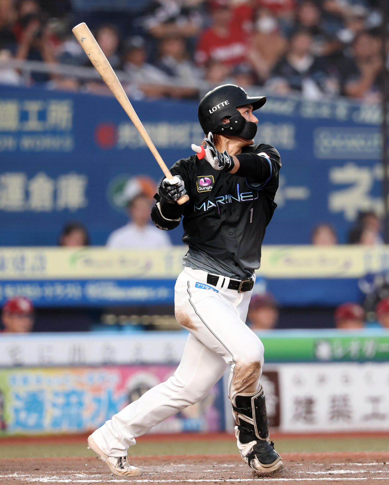 ロッテ藤原恭大（2026年7月撮影）