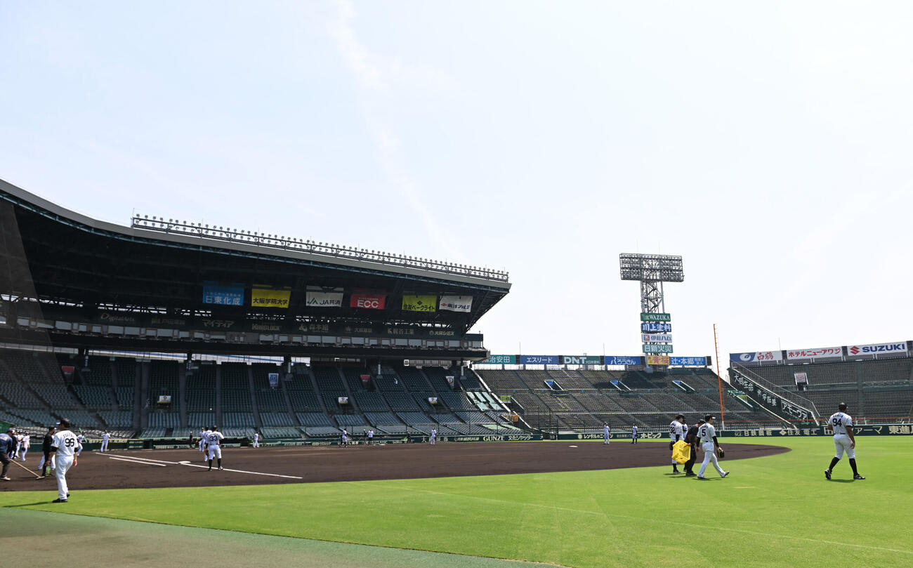 甲子園で練習する阪神ナイン（撮影・和賀正仁）