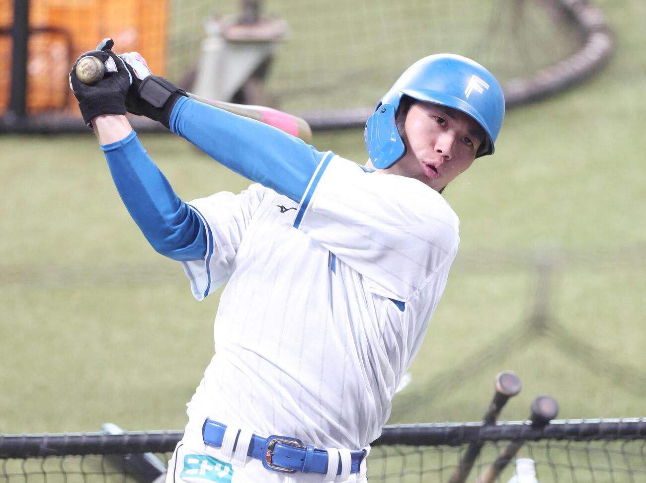 ティー打撃する日本ハム細川凌平（撮影・黒川智章）