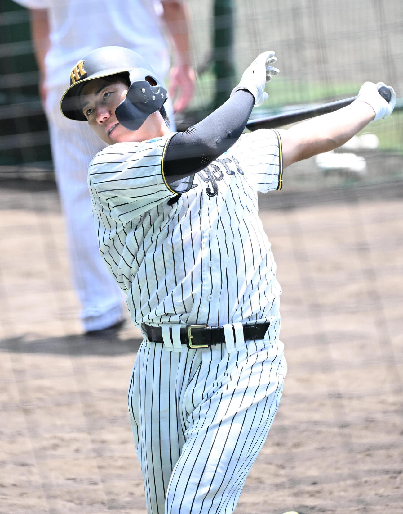 打撃練習をする阪神立石正広人（撮影・石井愛子）