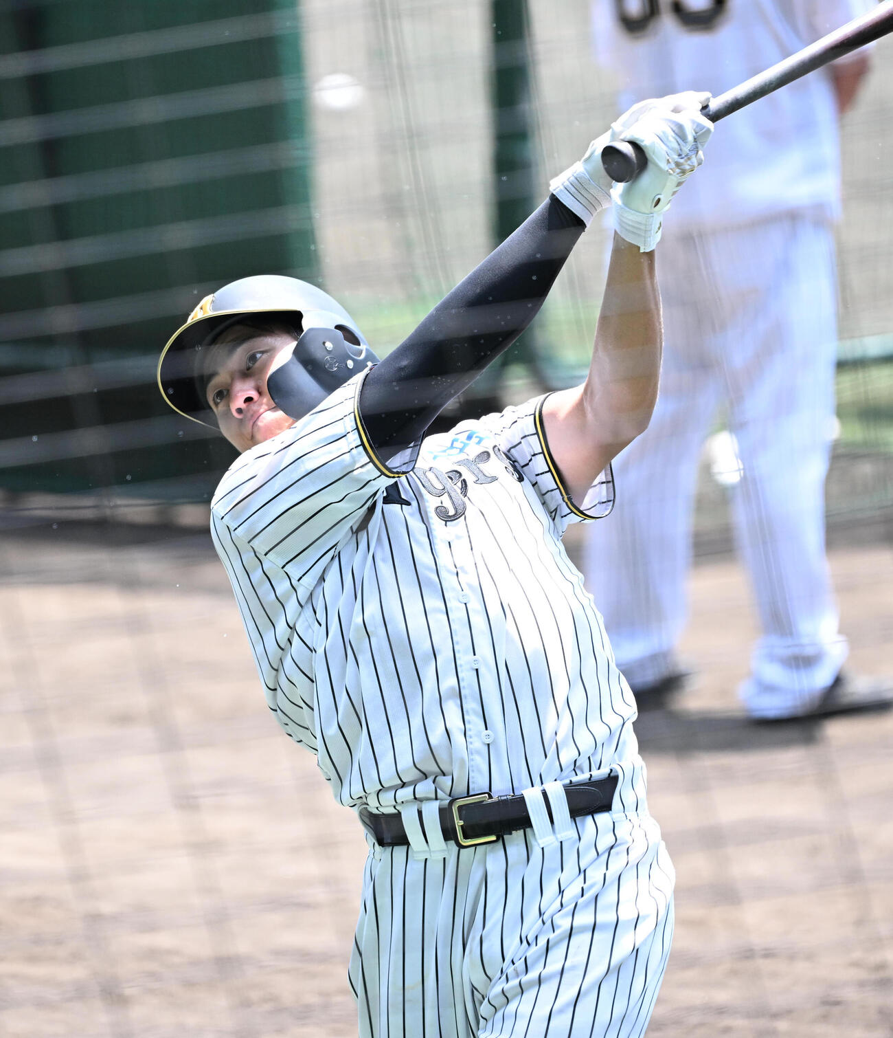打撃練習をする阪神立石正広人（撮影・石井愛子）