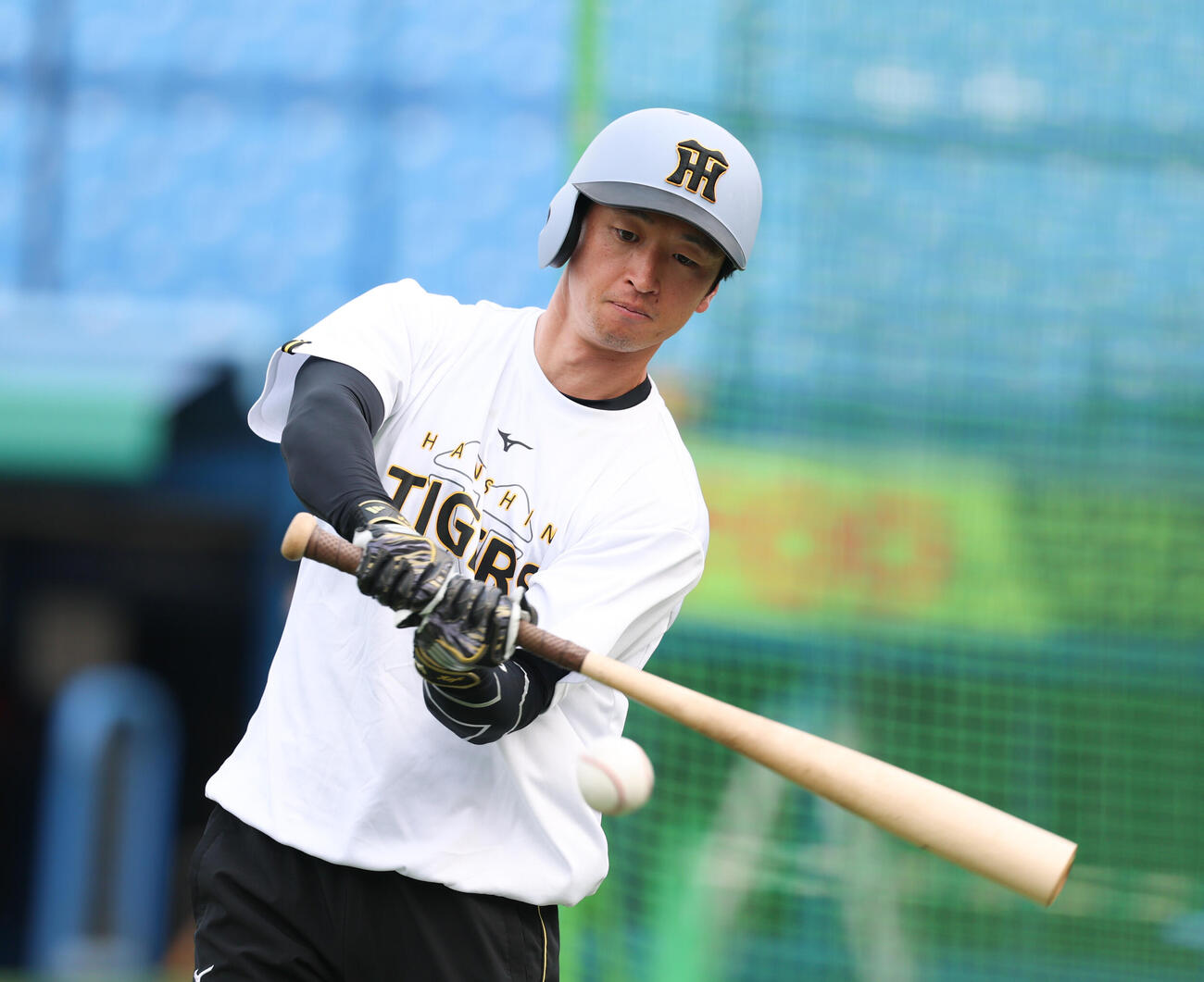 ヤクルト対阪神　T打撃をする阪神近本光司（撮影・増田悦実）