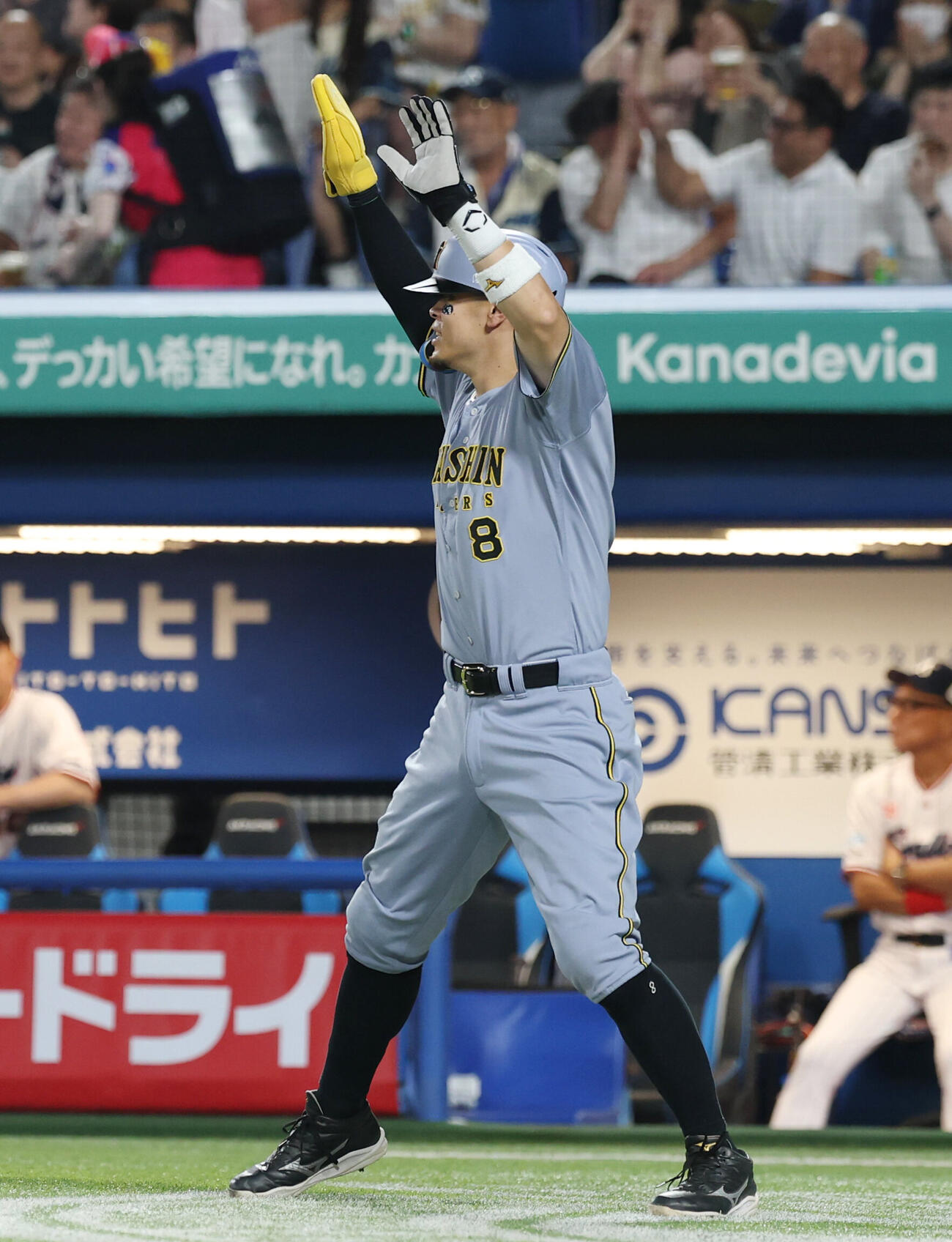 ヤクルト対阪神　7回表阪神2死二、三塁、大山悠輔の適時打で生還し喜ぶ佐藤輝明（撮影・増田悦実）