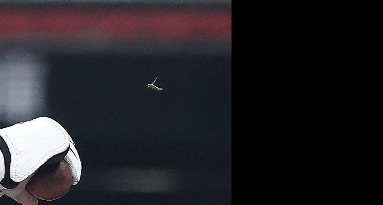 西武対オリックス　9回裏西武2死、打席から離れ、飛び回る虫から逃れようとする平沢大河（撮影・河田真司）