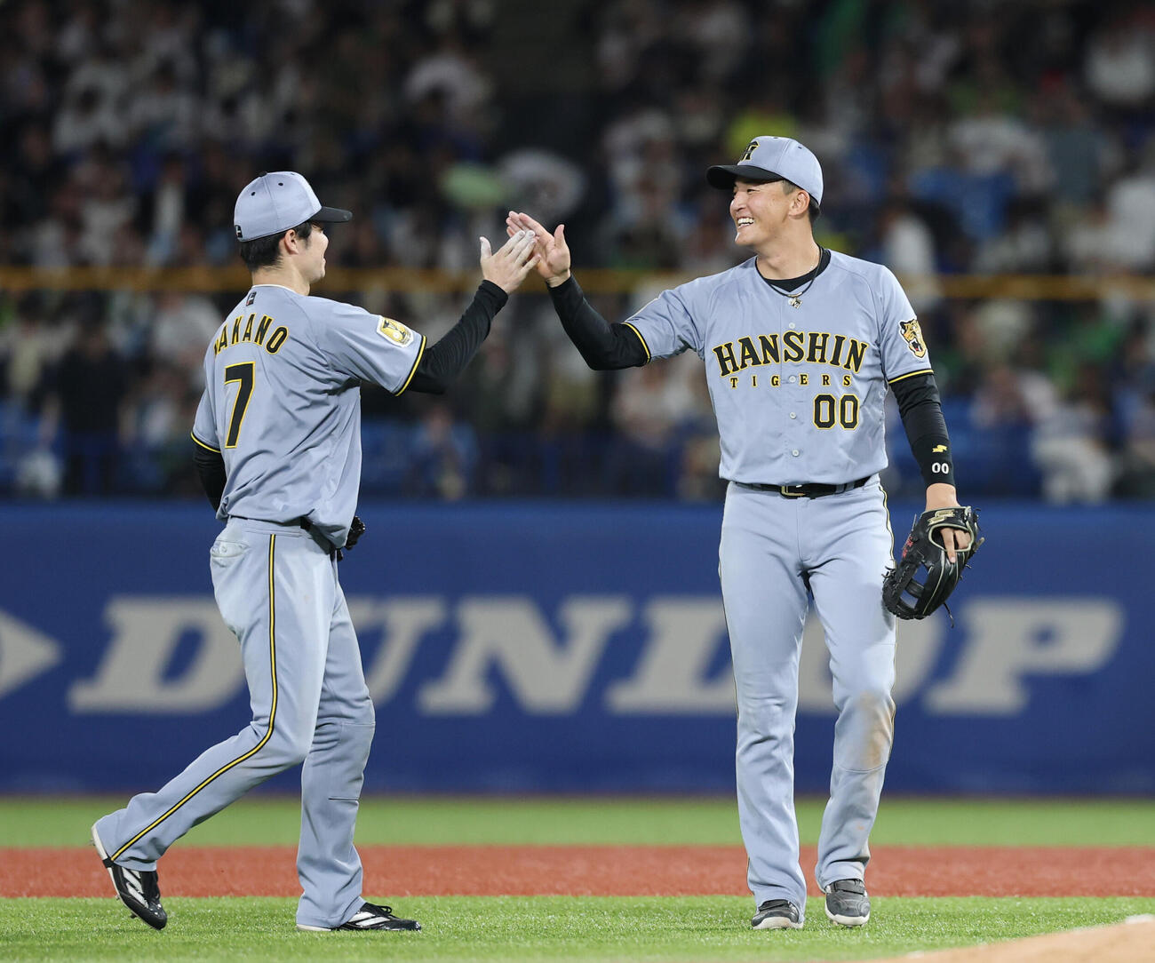ヤクルト対阪神　勝利しタッチを交わす中野拓夢（左）と元山飛優（撮影・増田悦実）