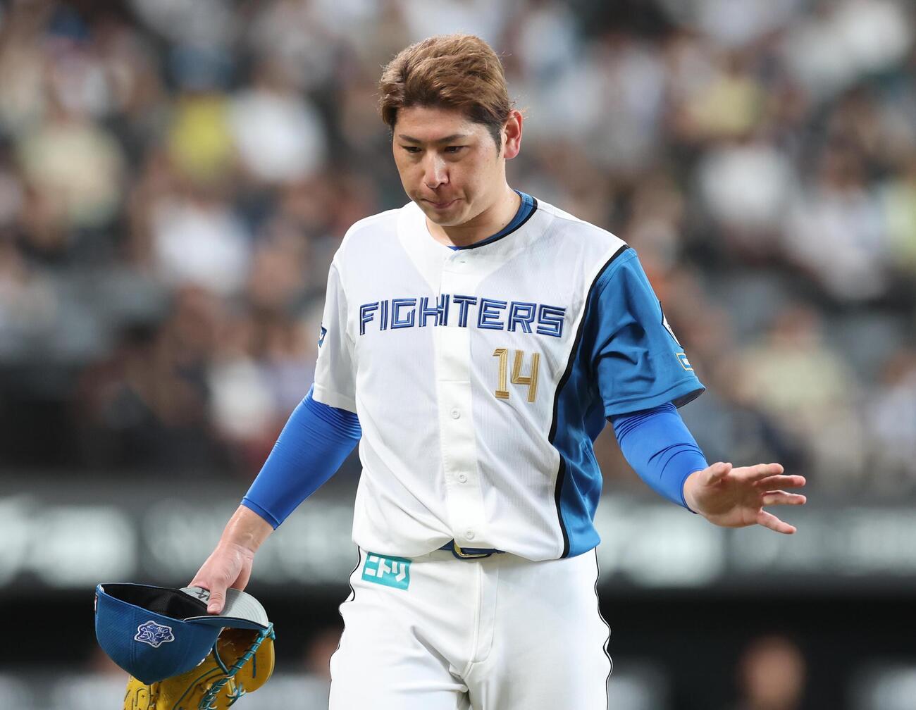 日本ハム対ロッテ　6回途中降板する加藤貴之（撮影・黒川智章）