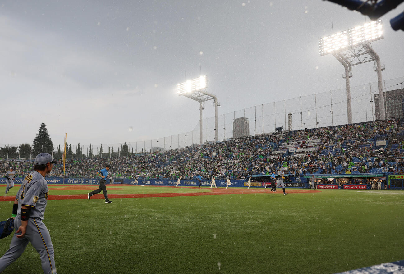 ヤクルト対阪神　雨で中断しベンチに戻る両選手（撮影・増田悦実）