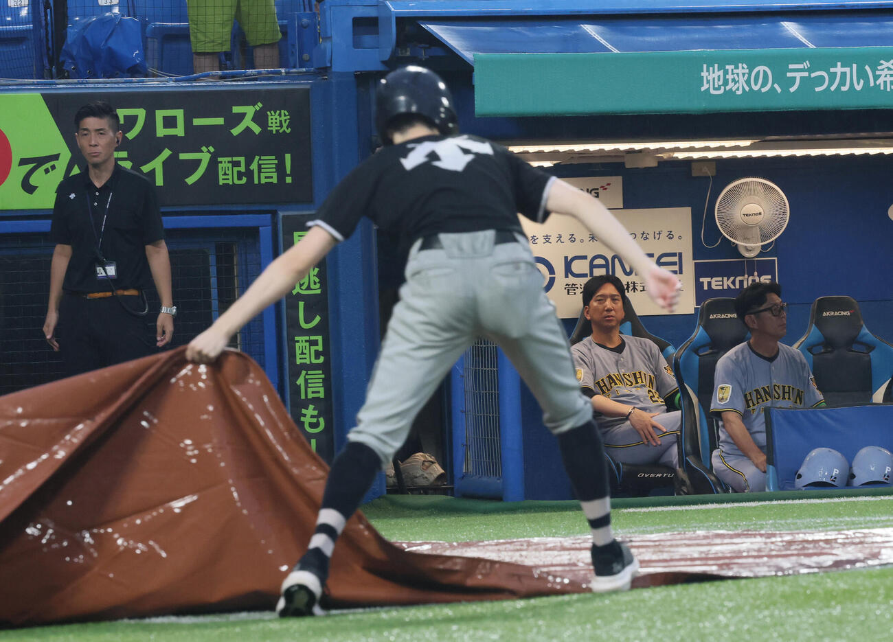 ヤクルト対阪神　豪雨による中断で試合の再開を待つ阪神藤川球児監督（撮影・水谷安孝）
