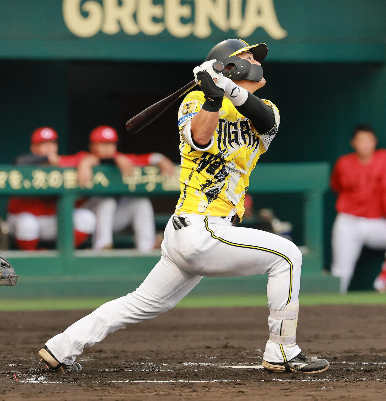 阪神前川右京（2026年年7月撮影）