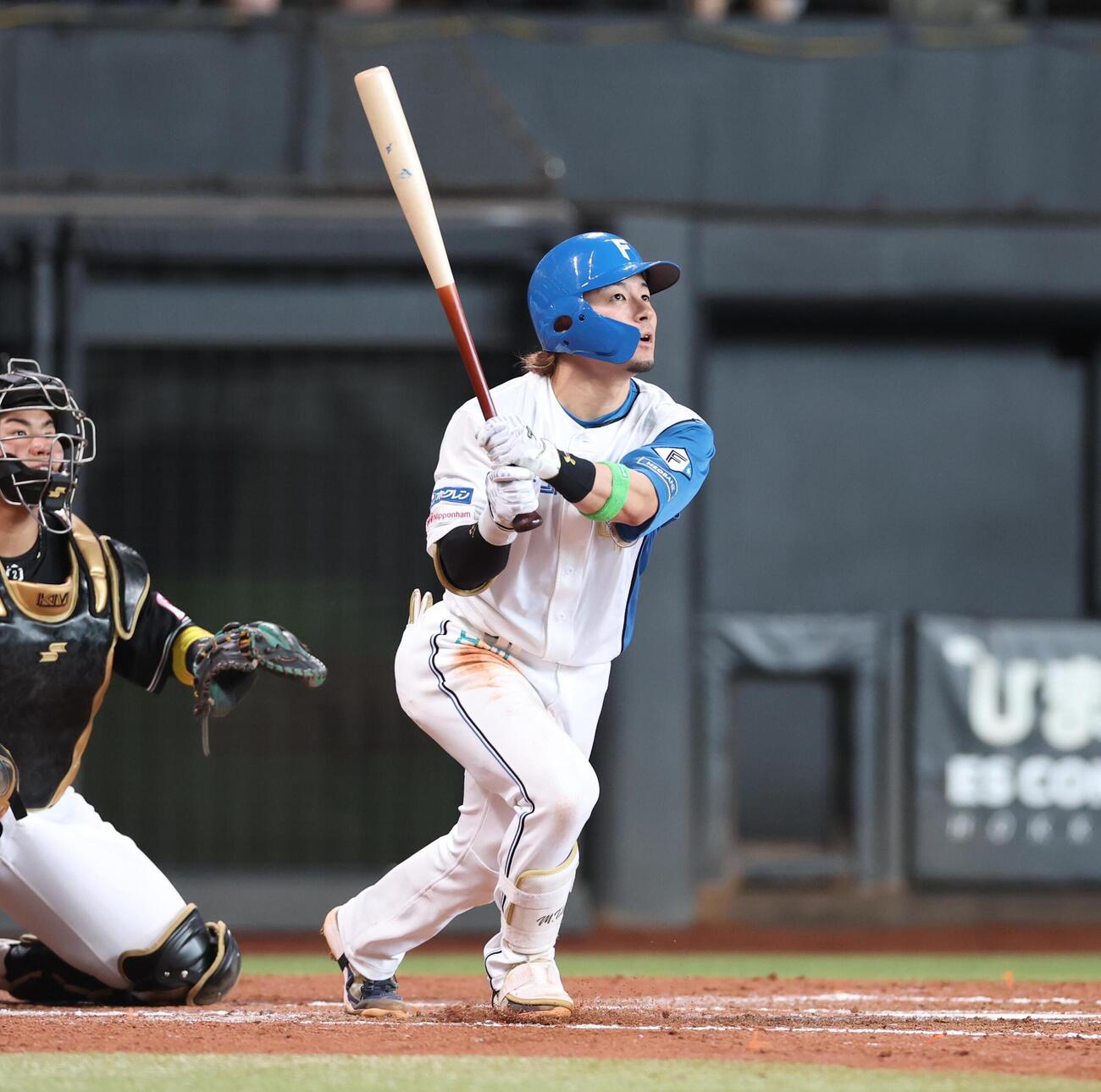 日本ハム対ロッテ　3回裏日本ハム2死、本塁打を放つ水野達稀（撮影・黒川智章）