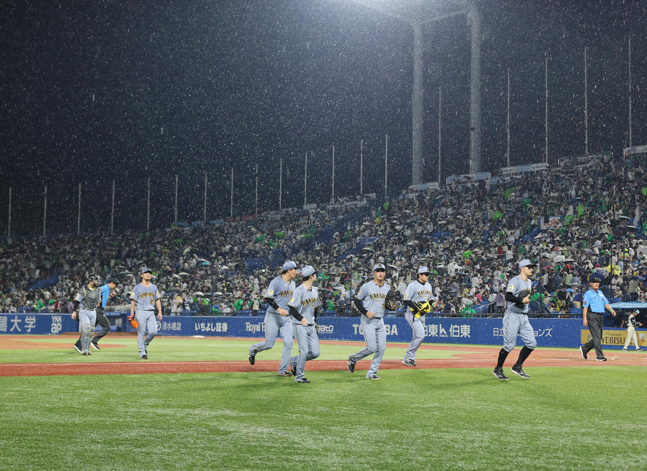 ヤクルト対阪神　2回裏　雨により避難する阪神ナイン（撮影・増田悦実）