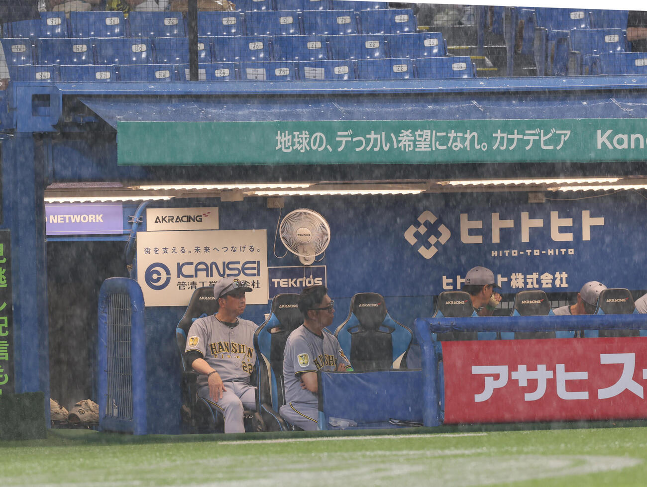 ヤクルト対阪神　豪雨による2度目の中断でベンチで様子を見守る阪神藤川球児監督（撮影・水谷安孝）
