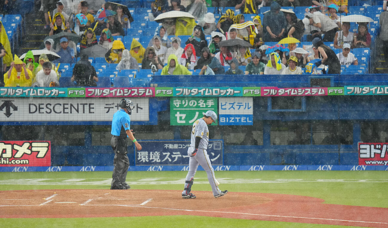 ヤクルト対阪神　1回表阪神2死一、二塁、打者大山悠輔の時、雨脚が強まり試合が中断（撮影・鈴木みどり）