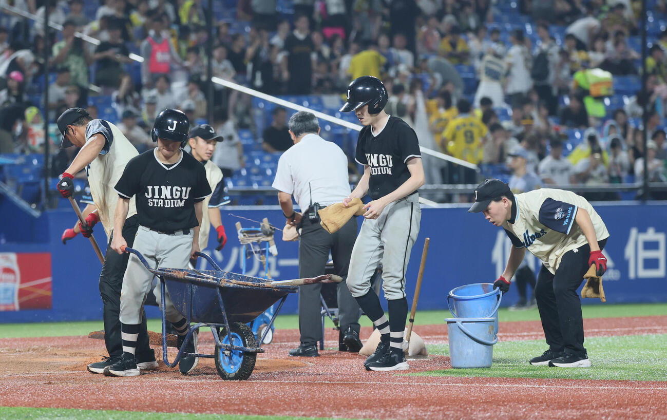 ヤクルト対阪神　試合再開に向け懸命に行われるグラウンド整備（撮影・水谷安孝）