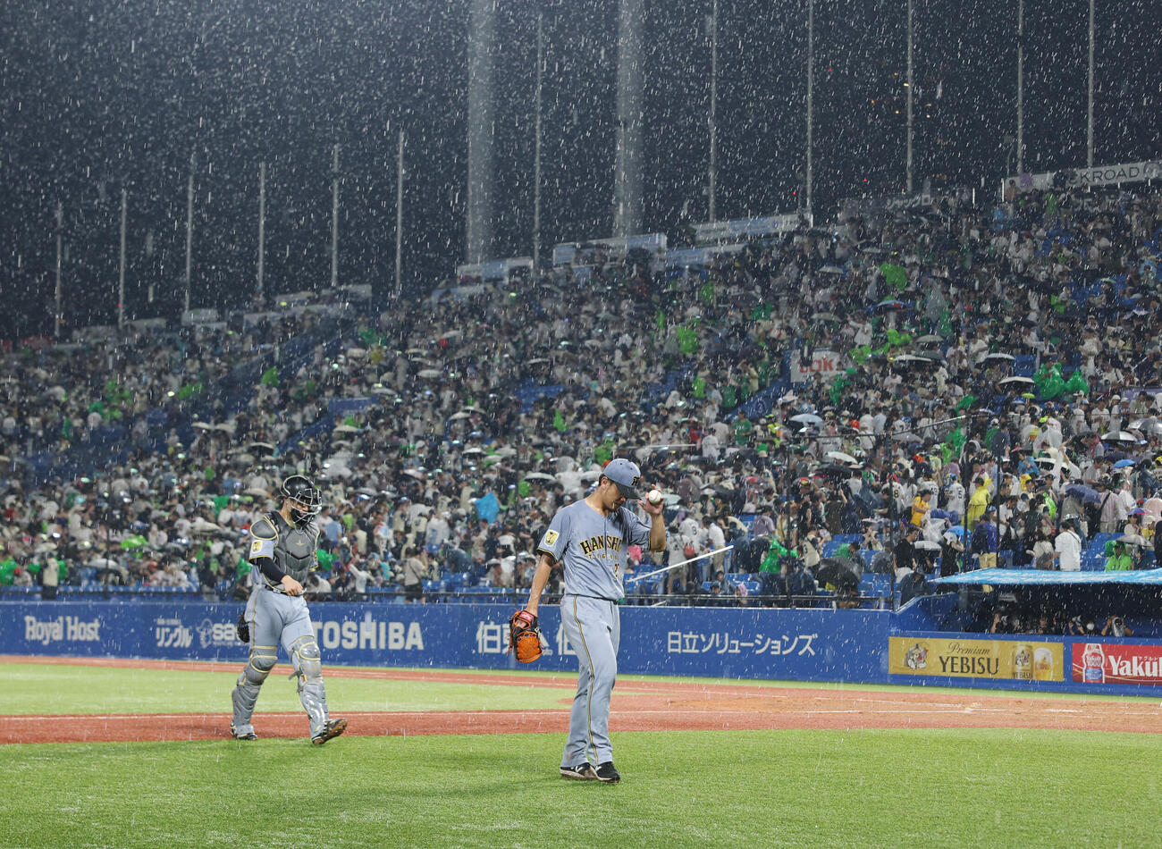 ヤクルト対阪神　2回裏　雨により避難する阪神坂本誠志郎（左）と伊藤将司（撮影・増田悦実）