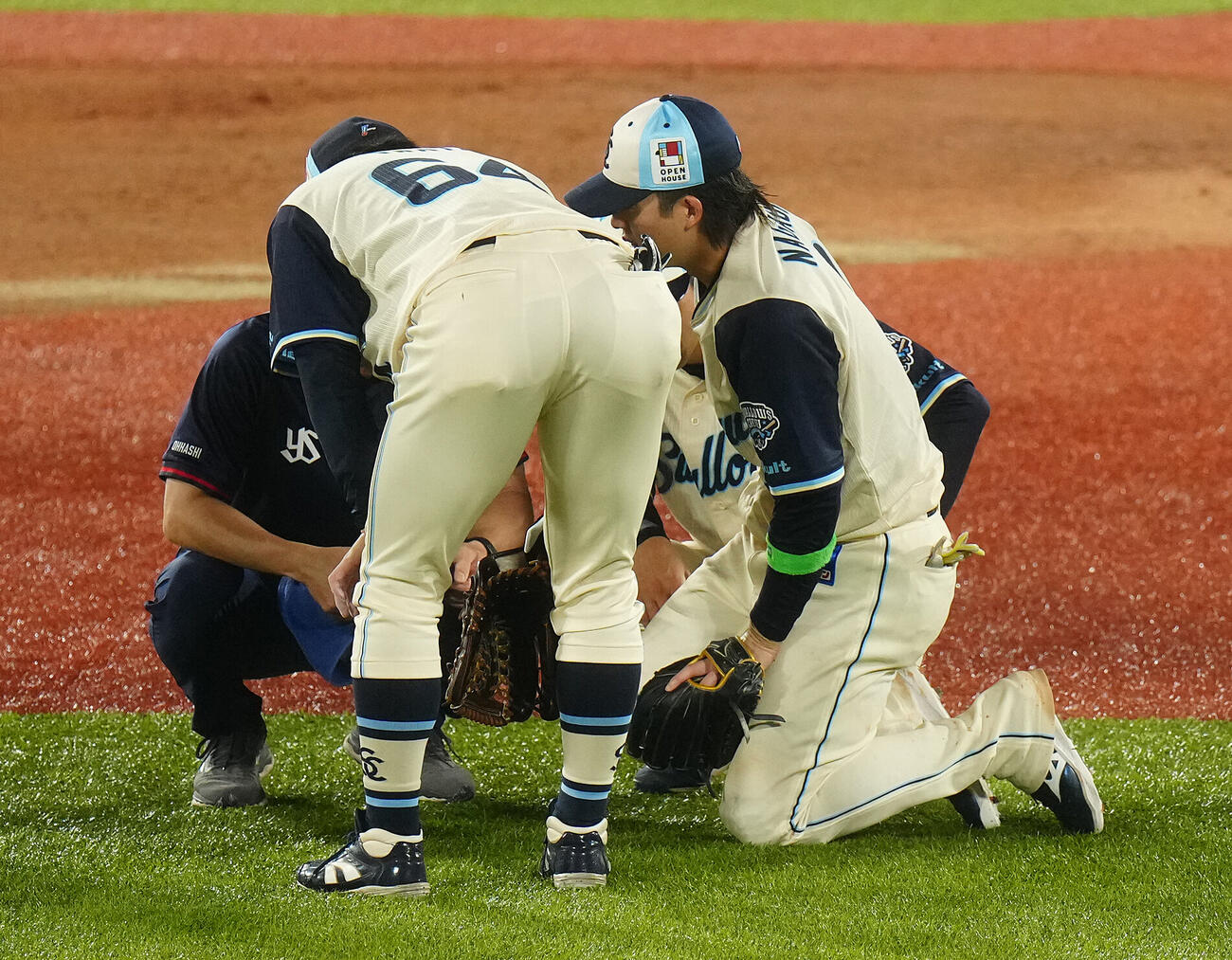 ヤクルト対阪神　4回表、痛がるヤクルト長岡秀樹（右）（撮影・鈴木みどり）