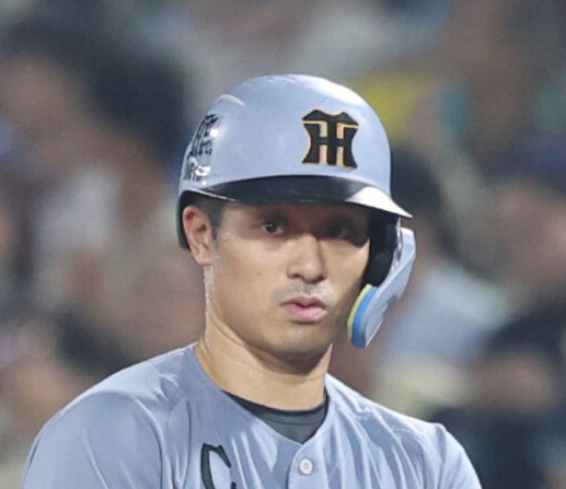 阪神坂本誠志郎（2026年8月撮影）