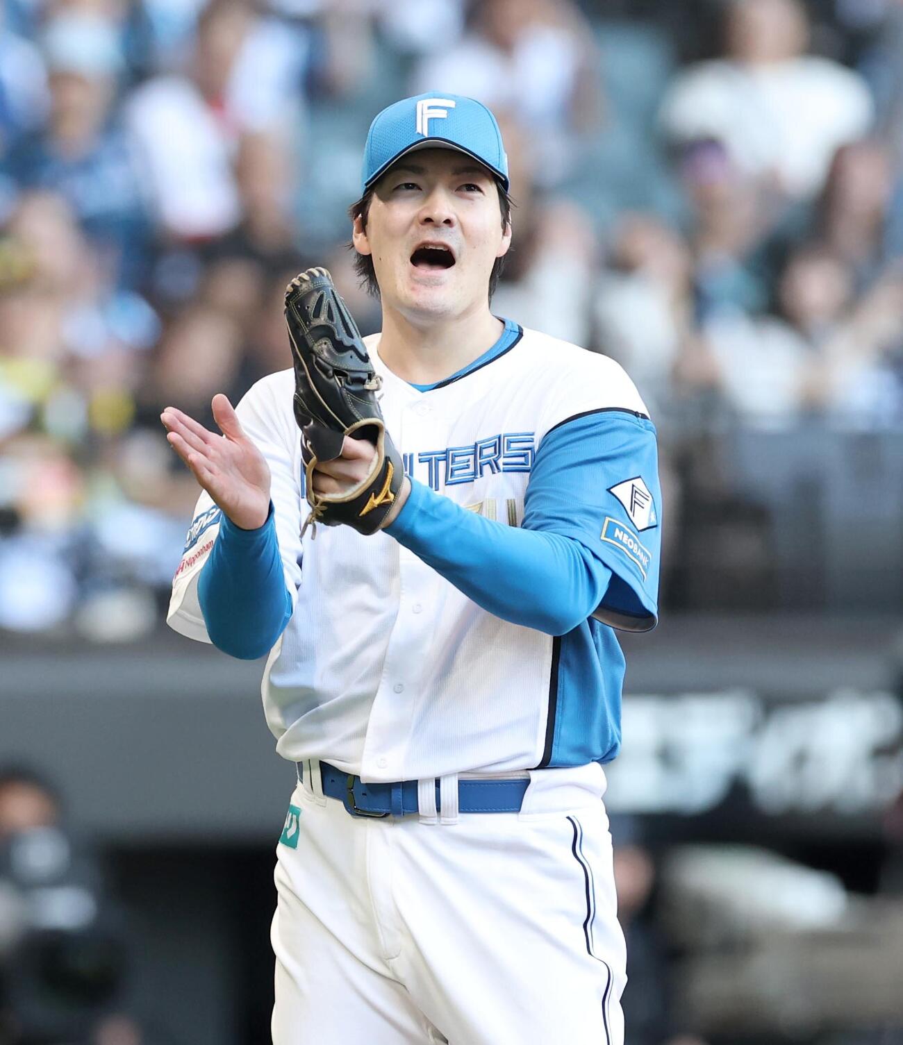 日本ハム対ロッテ　6回表ロッテ2死、西川史礁を二ゴロにとりグラブをたたく有原航平（撮影・黒川智章）