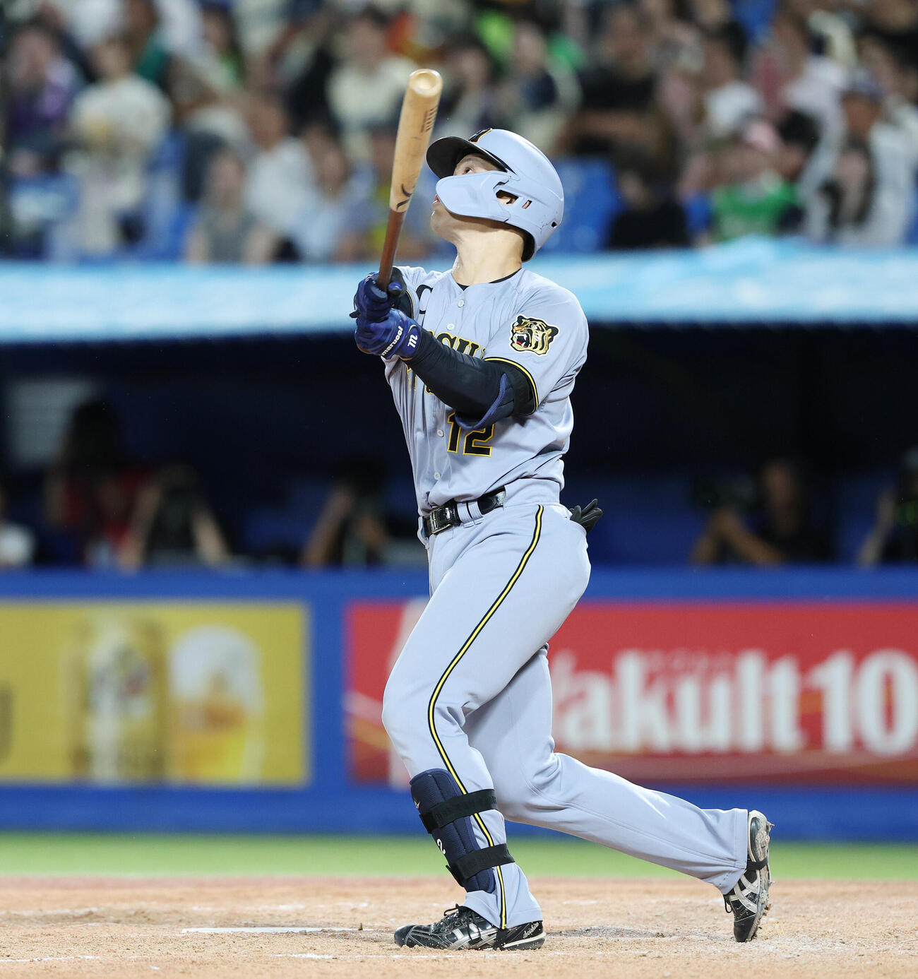 ヤクルト対阪神　4回表阪神1死、本塁打を放つ坂本誠志郎（撮影・宮地輝）
