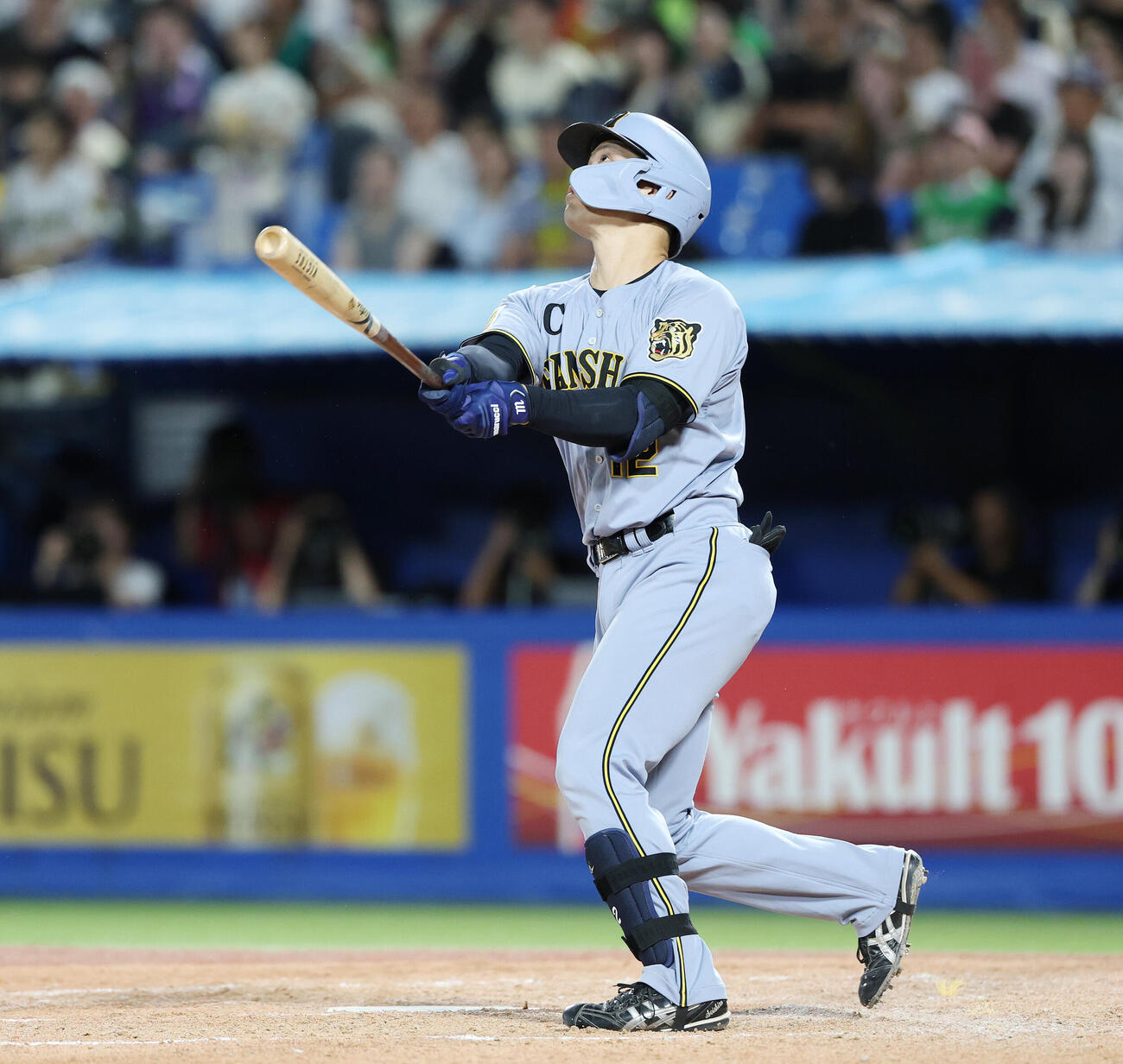 ヤクルト対阪神　4回表阪神1死、本塁打を放つ坂本誠志郎（撮影・宮地輝）
