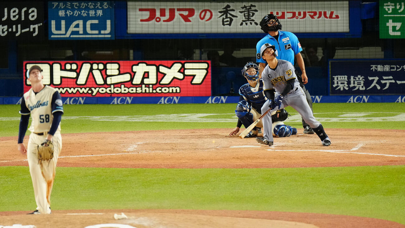 ヤクルト対阪神　4回表阪神1死、ソロ本塁打を放つ坂本誠志郎。投手ナッシュ・ウォルターズ（撮影・鈴木みどり）