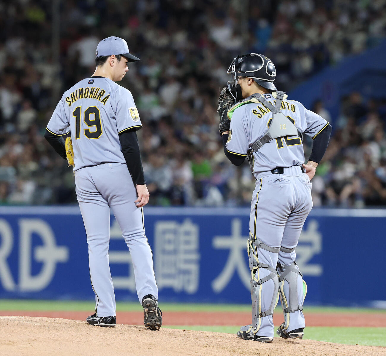 ヤクルト対阪神　4回裏ヤクルト2死二塁、言葉を交わす下村海翔（左）と坂本誠志郎（撮影・宮地輝）