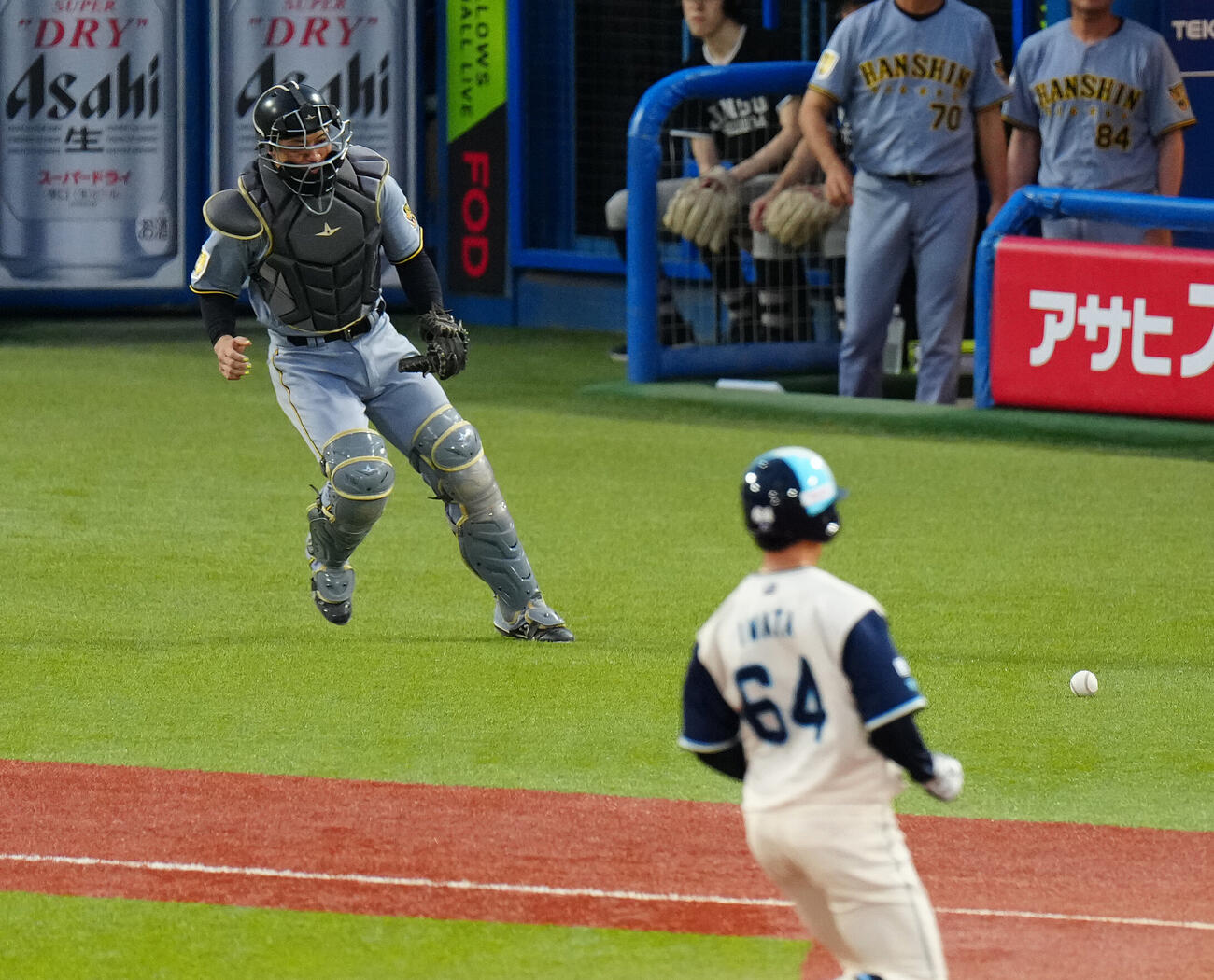 ヤクルト対阪神　1回裏ヤクルト1死一、二塁、左翼手前川右京が悪送球した球を追う捕手坂本誠志郎（撮影・鈴木みどり）