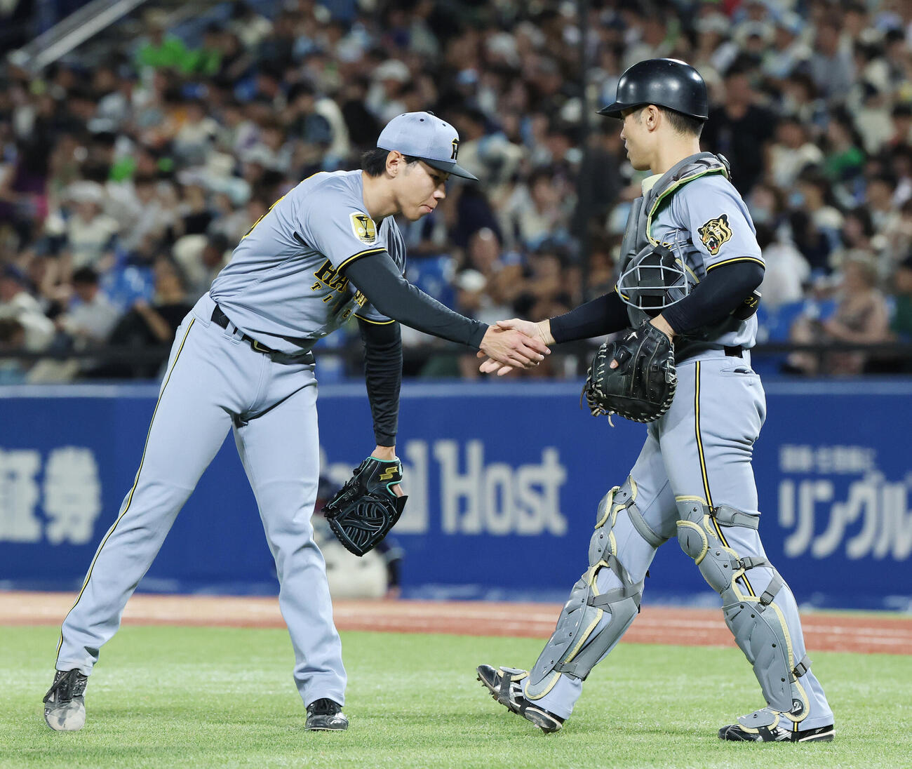 ヤクルト対阪神　プロ初セーブを挙げ坂本誠志郎（右）と握手する阪神工藤泰成（撮影・宮地輝）