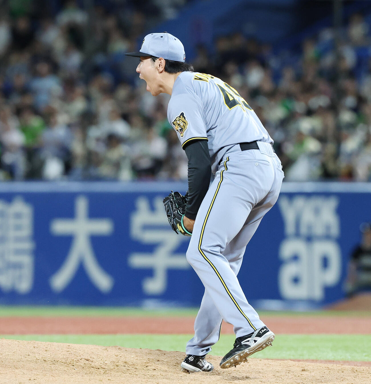 ヤクルト対阪神　プロ初セーブを挙げ雄たけびを上げる阪神工藤泰成（撮影・宮地輝）