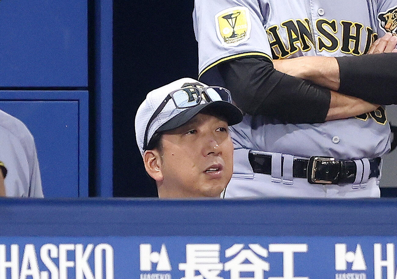 DeNA対阪神　5回裏、戦況を見守る藤川球児監督（撮影・河田真司）