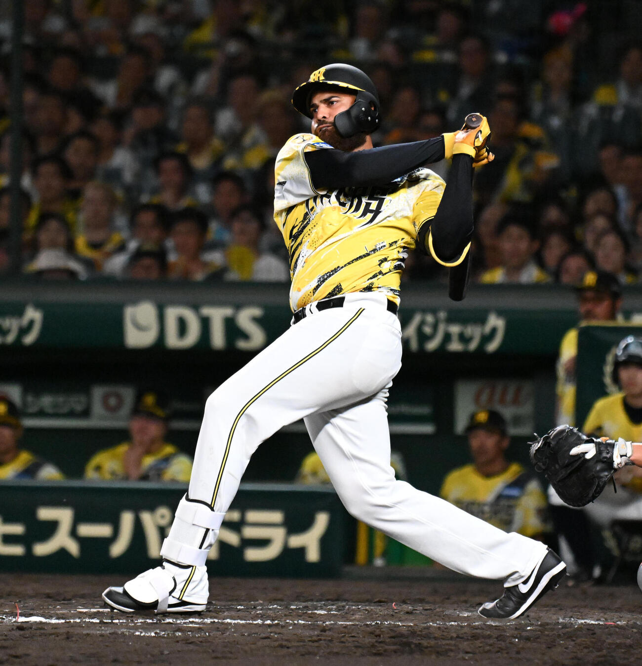 阪神デルミス・ガルシア（2026年7月撮影）