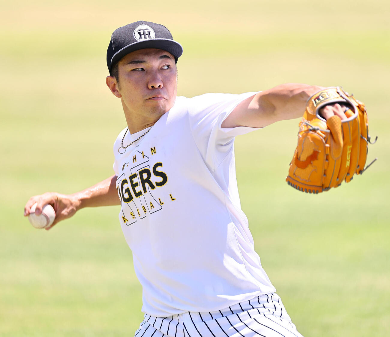 石井大智（2026年7月撮影）