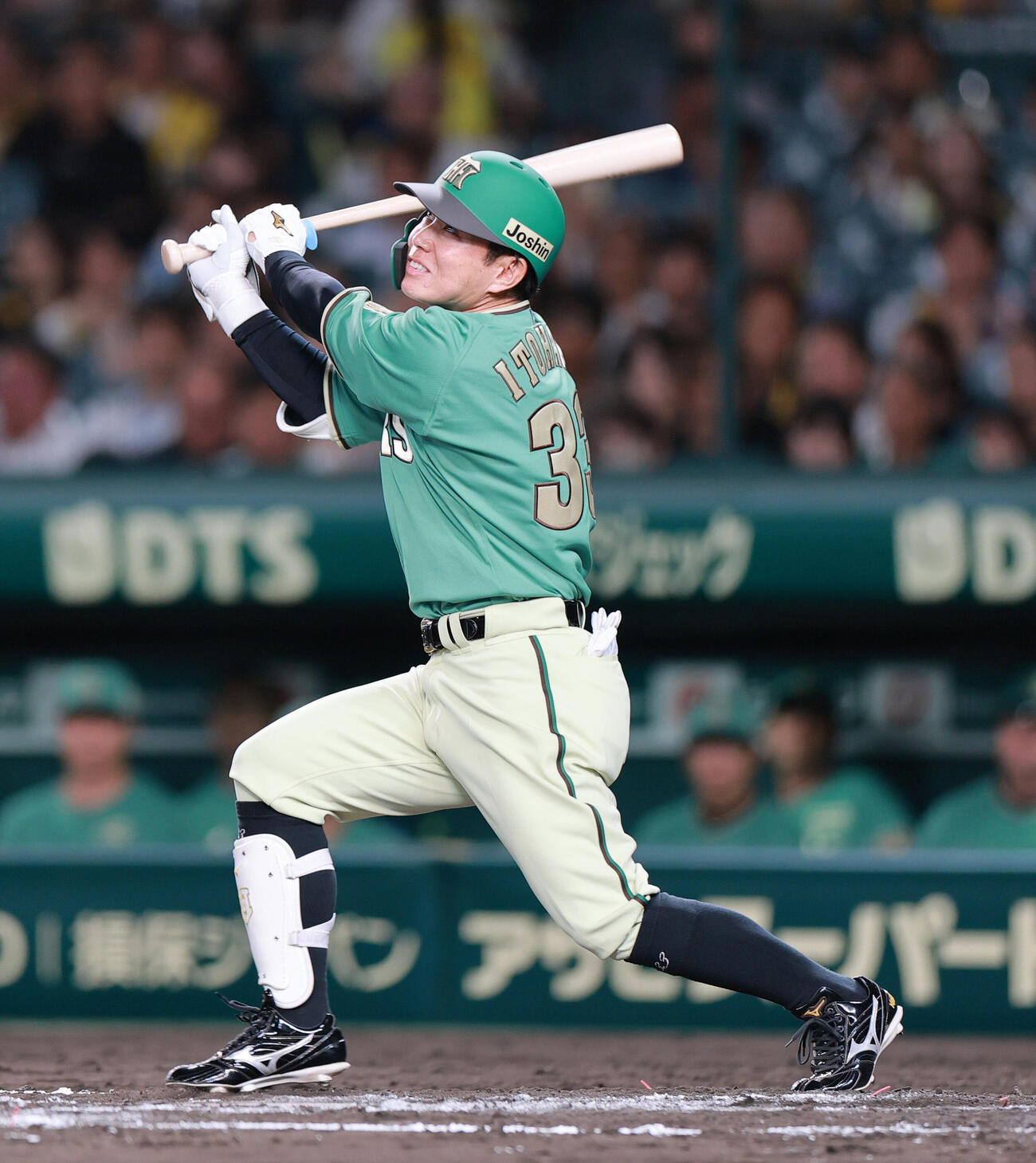 阪神糸原健斗（2026年6月撮影）