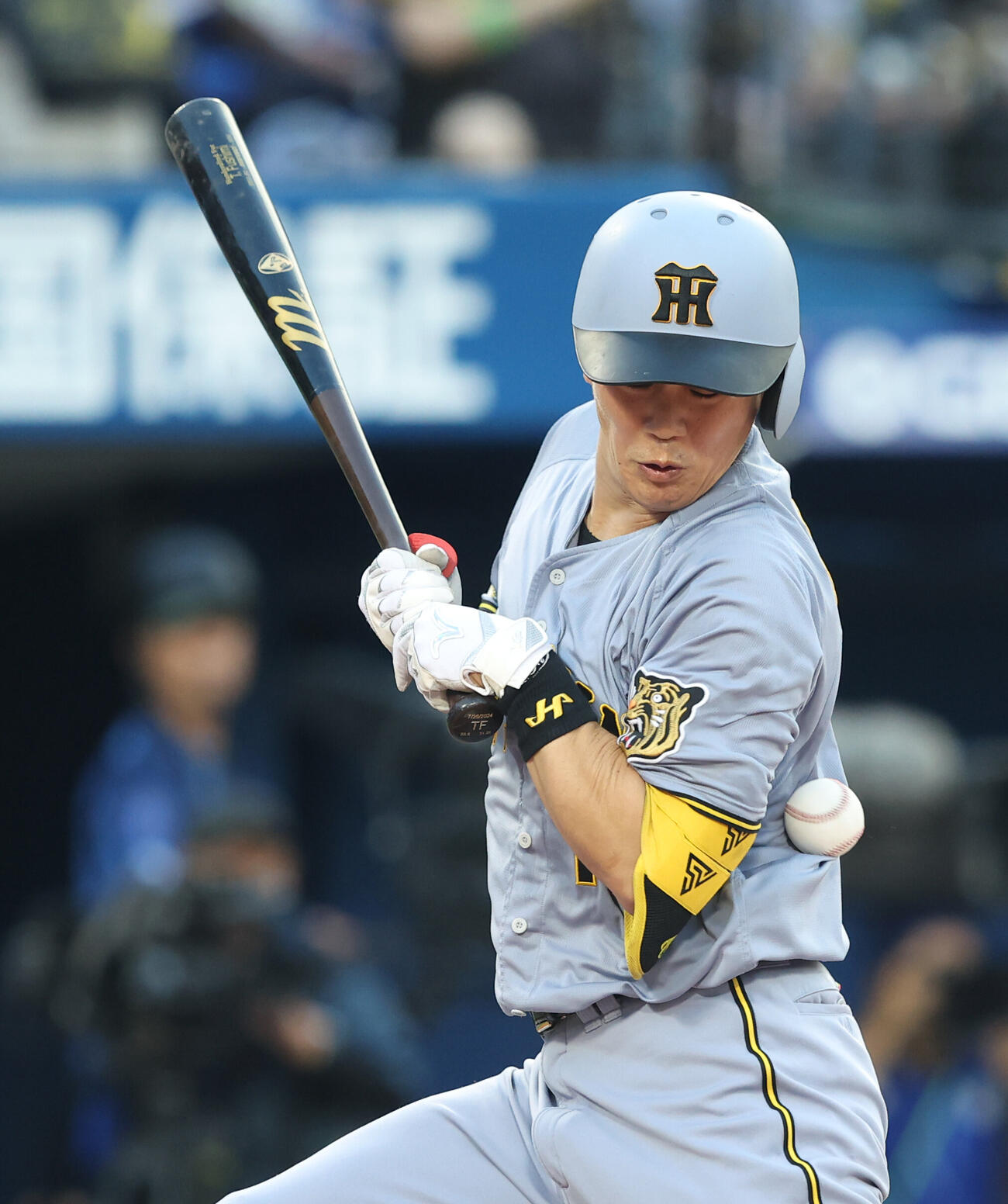 DeNA対阪神　2回表阪神1死一塁、死球を受ける伏見寅威（撮影・河田真司）