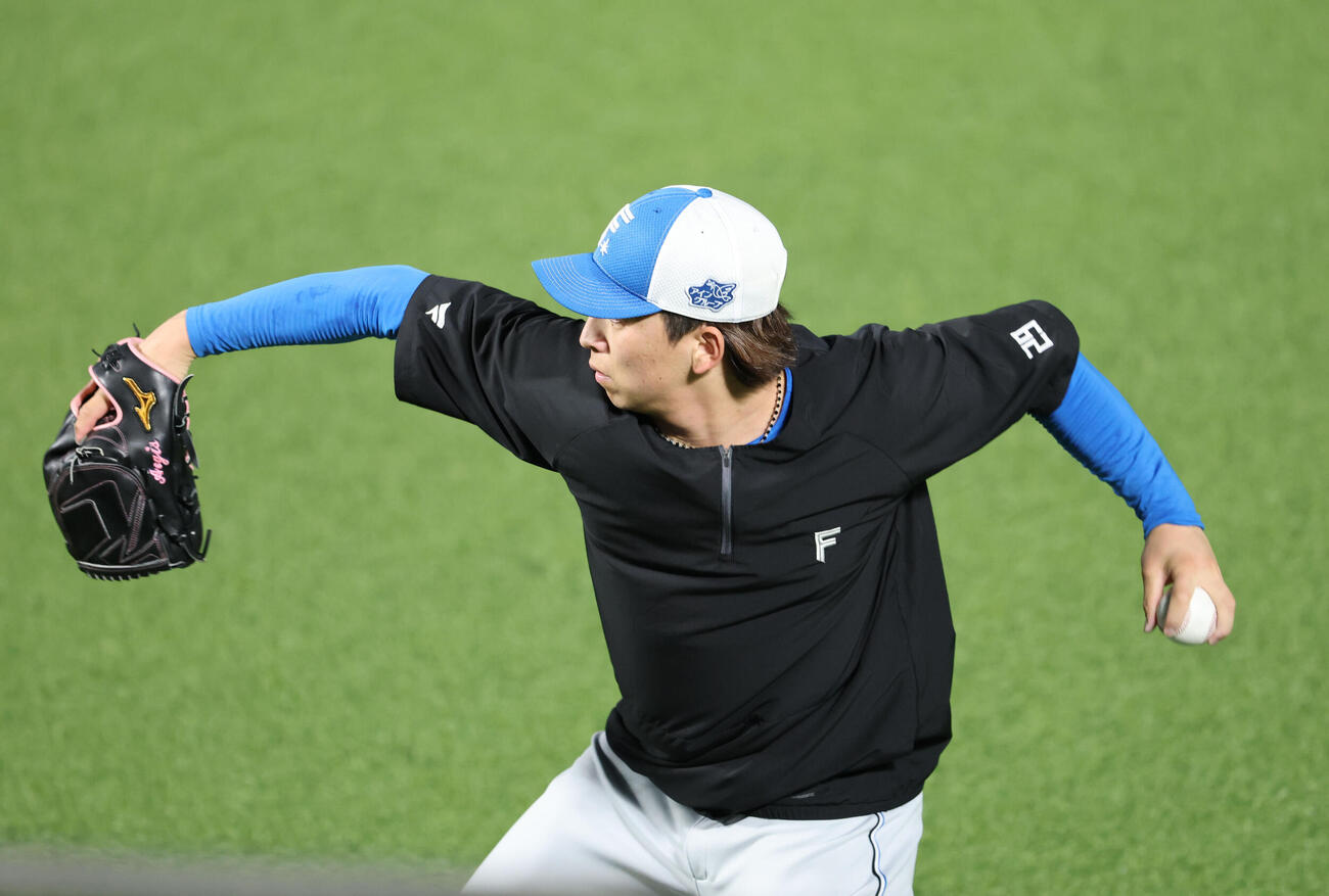 ソフトバンク対日本ハム　キャッチボールで調整する日本ハムの細野晴希（撮影・梅根麻紀）