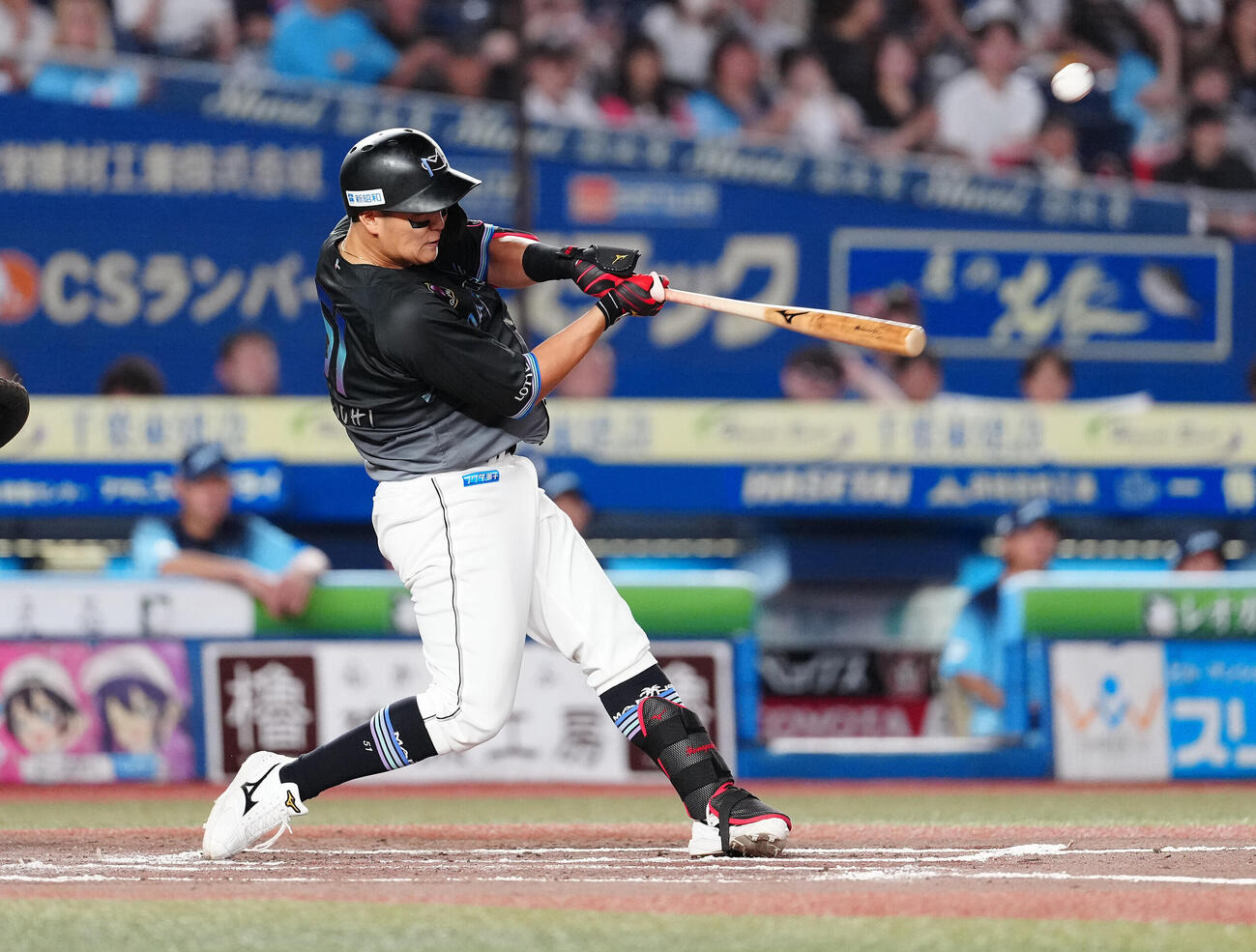 ロッテ対西武　6回裏ロッテ無死、ソロ本塁打を放つ山口航輝（撮影・鈴木みどり）
