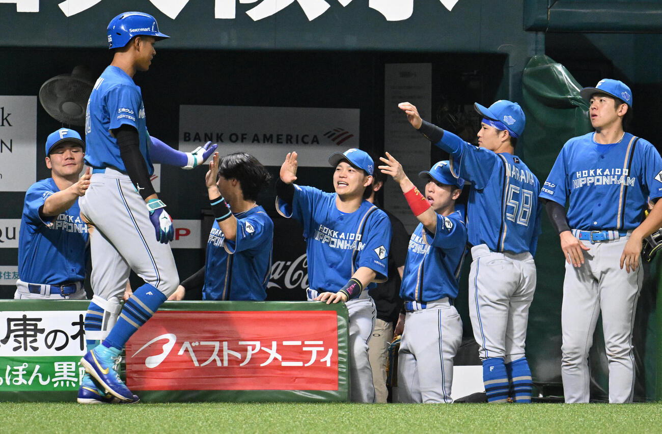 ソフトバンク対日本ハム　3回表日本ハム2死、万波中正（左）は本塁打を放ちナインとタッチを交わす（撮影・林敢治）