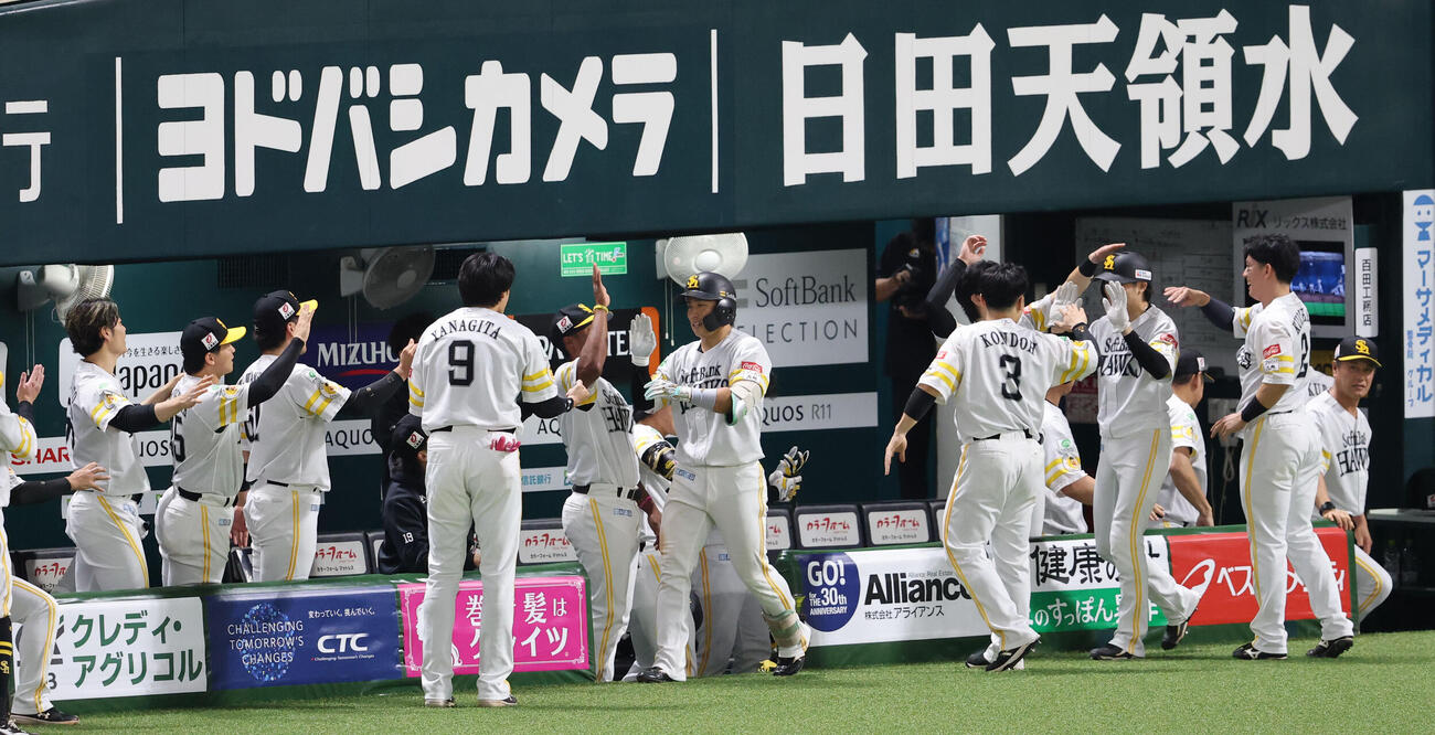 ソフトバンク対日本ハム　8回裏ソフトバンク2死一塁、野村勇は中越えに勝ち越し2点本塁打を放ちベンチのナインとハイタッチ（撮影・梅根麻紀）